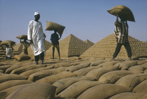 NIGERIA, Kano, Workers building pyramids made from sacks of groundnuts