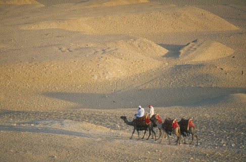 EGYPT, Cairo Area, Giza, Camel train returning from the Pyramids