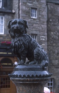 SCOTLAND, Lothian, Edinburgh, Statue of Greyfriars Bobby a Skye Terrier who guarded the grave of