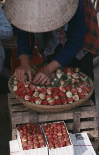 VIETNAM, Markets, Woman selling strawberries in a market