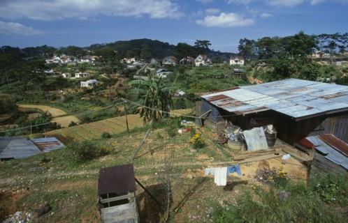 VIETNAM, Central Highlands, Dalat, Vegetable patches amongst small houses in this temperate crop