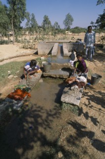 INDIA, Andhra Pradesh, Anantapur, Women washing clothes in irrigation outlet