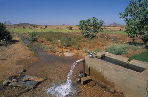 INDIA, Andhra Pradesh, Anantapur, Ground water irrigating dry field on hilltop