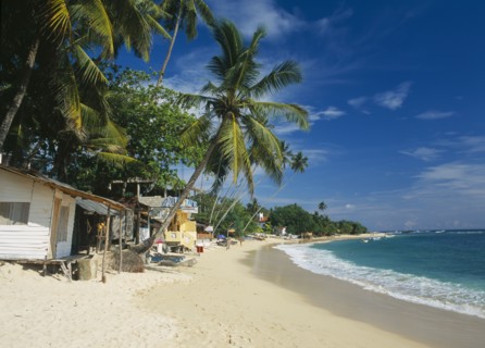 SRI LANKA, Unawatuna, Narrow sandy beach lined with vegetation and overhanging palm trees with