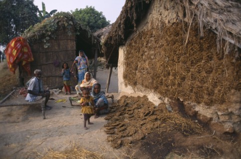 NEPAL, Lumbini, Gounawa, Hindu family by drying cow dung to be used as cooking fuel