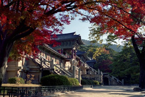 SOUTH KOREA, North Kyongsan, Pulguksa Temple originally dating from 528AD framed by overhanging