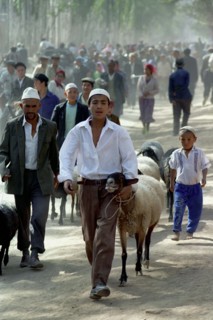 CHINA, Xinjiang, Kashgar, Boy and man leading sheep along the roadside to market