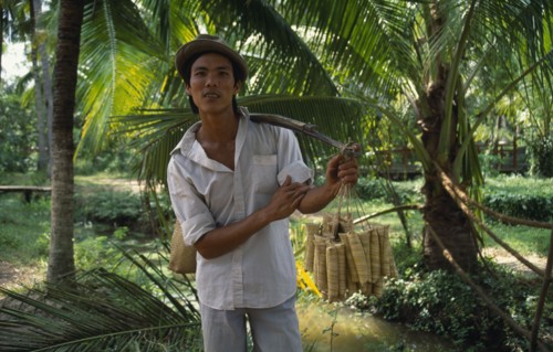 VIETNAM, Giang Province, Roadside vendor selling sticky rice wrapped in banana leaves.