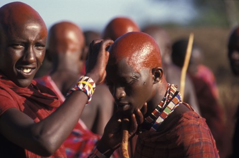 KENYA, Kajiado, Maasai Moran cover their recently shaved heads with red ochre which signifies their