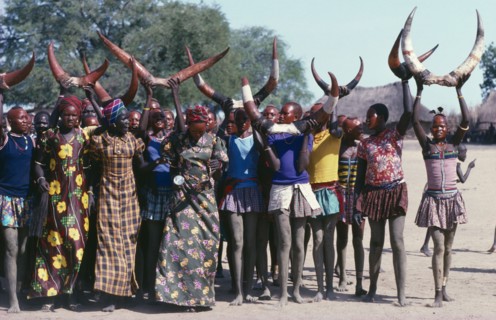 SUDAN, Tribal Peoples, Dinka cattle festival or Toich.  Women holding painted bulls horns in the