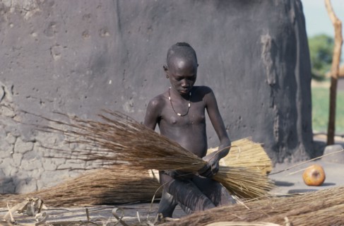 SUDAN, Tribal People, Dinka girl tying bundles of wood saplings for thatching hut in cattle camp.
