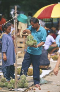 MALAYSIA, Borneo, Sabah, Kota Belud tamu weekly market with durian fruit vendor