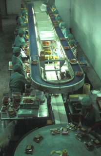 SOUTH AFRICA, Western Cape, Stellenbosch, Female production line workers grading and packing
