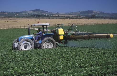 SOUTH AFRICA, Western Cape, Stellenbosch, Agricultural farm labourer spraying strawberry fields at