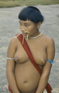BRAZIL, Roraima, Amazon, Portrait of Yanomami woman with facial piercings.