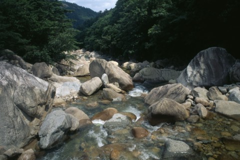 SOUTH KOREA, Kangwon, Soraksan National Park, Sorak Mountains.  Stream flowing over large rocks and