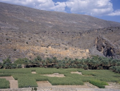 OMAN, Wadi Ghul, Oasis and agricultural land near Nizwa.