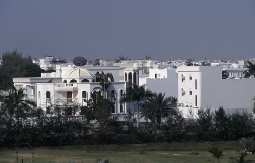 OMAN, Muscat, White painted housing amongst palms.