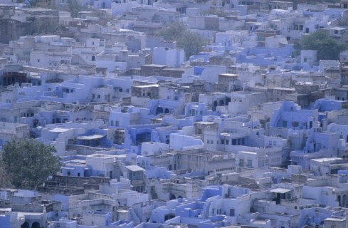 INDIA, Rajasthan, Jodhpur, The Blue city.