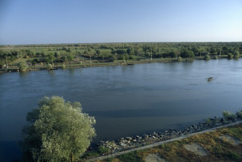 ROMANIA, Danube Delta, "Small rowing boat on the River Danube through flat, tree covered landscape