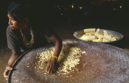 COLOMBIA, Amazonas, Santa Isabel, Macuna woman sieving manioc that has previously been grated