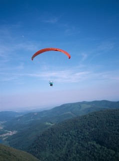 FRANCE, Alsace, Haut Rhin, Paraglider decending from Ballon de l Alsace