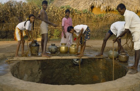 INDIA, Andhra Pradesh, Family collecting water from village well.