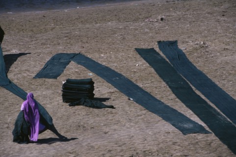 INDIA, Uttar Pradesh, Agra, Woman drying dyed cloth on the edge of the Yamuna River.