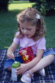 ENGLAND, West Sussex, Chichester, The Bishops Palace Gardens.  Girl aged three putting straw into