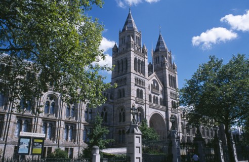 20059172 ENGLAND  London Kensington. Natural History Museum. Exterior view framed by trees.