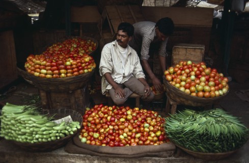 INDIA, Karnataka, Mysore, "Vendor at roadside stall selling okra, tomatoes and aubergines."