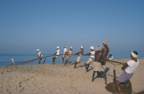 INDIA, Kerala, Kovalam, Fishermen on beach pulling in nets.