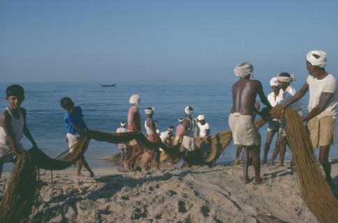 INDIA, Kerala, Kovalam, Fishermen on beach pulling in nets.