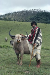 INDIA, Tamil Nadu, Nilgiri Mountains, Toda tribal priest wearing puthculi standing beside sacred