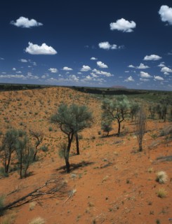 AUSTRALIA, Northern Territory, Kata Tjuta National Park, Kata Tjuta Viewing Area between Ayers Rock