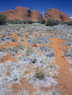 AUSTRALIA, Northern Territory, Kata Tjuta National Park, The Olgas seen from the Sunset Viewing