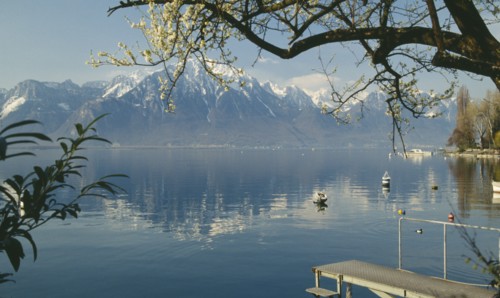 SWITZERLAND, Vaud, Montreux, Boat jetty and overhaning tree on shore of Lake Geneva with mountain