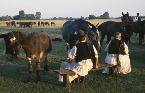 HUNGARY, Great Hungarian Plain, Bugac Csarda, Dismounted cossack horseman with pair of horses and