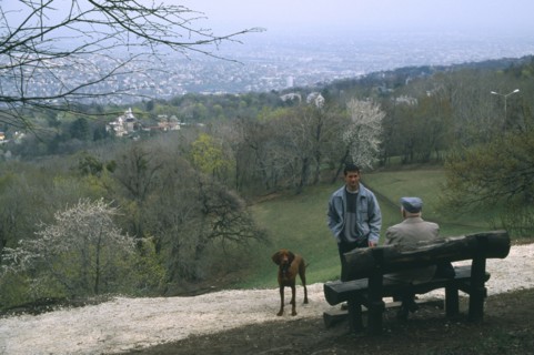 HUNGARY, Budapest, Dog walkers in conversation in park above city.