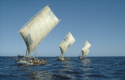 INDONESIA, Nusa Tenggara, Lembata, "Whaling fleet at sea towing caught whale back to village of