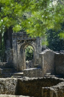 KENYA, Malindi, Gedi, View of archway and walls from the 15th Century ruined city.