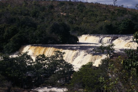 GUYANA, Oronduik Falls, Steps and terraces of waterfall on the Ireng River surrounded by trees.