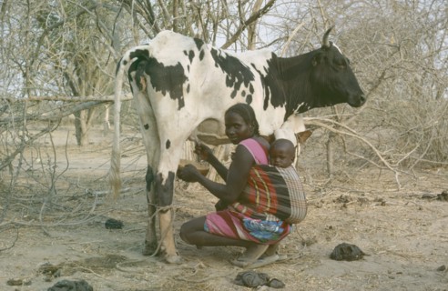 SUDAN, South Darfur, Baggara Arabs.  Woman from the Beni Halba tribe carrying child tied to her