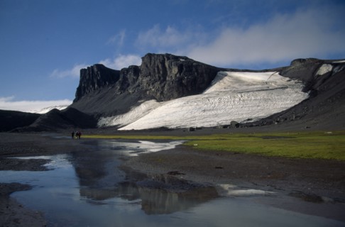 ANTARCTICA, Antarctic Peninsula, Livingstone Island, Hannah Point.  Landscape with moss beds.