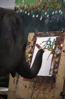 THAILAND, North, Chiang Mai, An elephant from Maesa Elephant Camp painting a picture of orchids