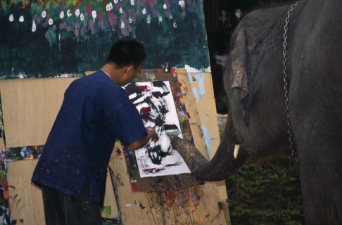 THAILAND, North, Chiang Mai, An elephant from Maesa Elephant Camp with his art teacher painting a