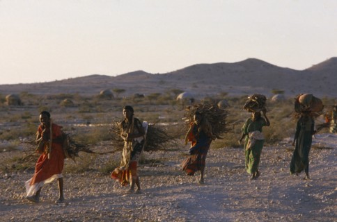 SOMALIA, Gannet, Line of five women carrying bundles of firewood in rural area.