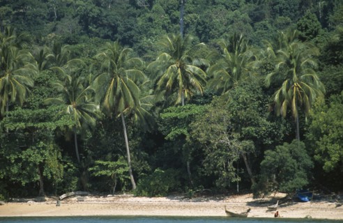 THAILAND, Krabi, Koh Lanta Marine NP, Koh Rok with a man beside a fishing boat on the shoreline