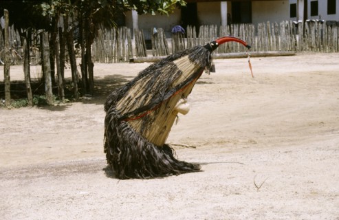BRAZIL, Amazon, Kayapo coconut dancer