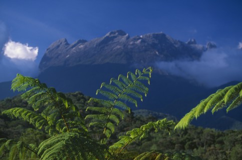 MALAYSIA, Borneo, Sabah, Mount Kinabalu.  Granite peak rising from national park with tree ferns in